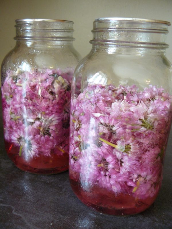 Chive-blossom-vinegar-finished