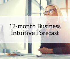 Annual Akashic Business Forecast product page