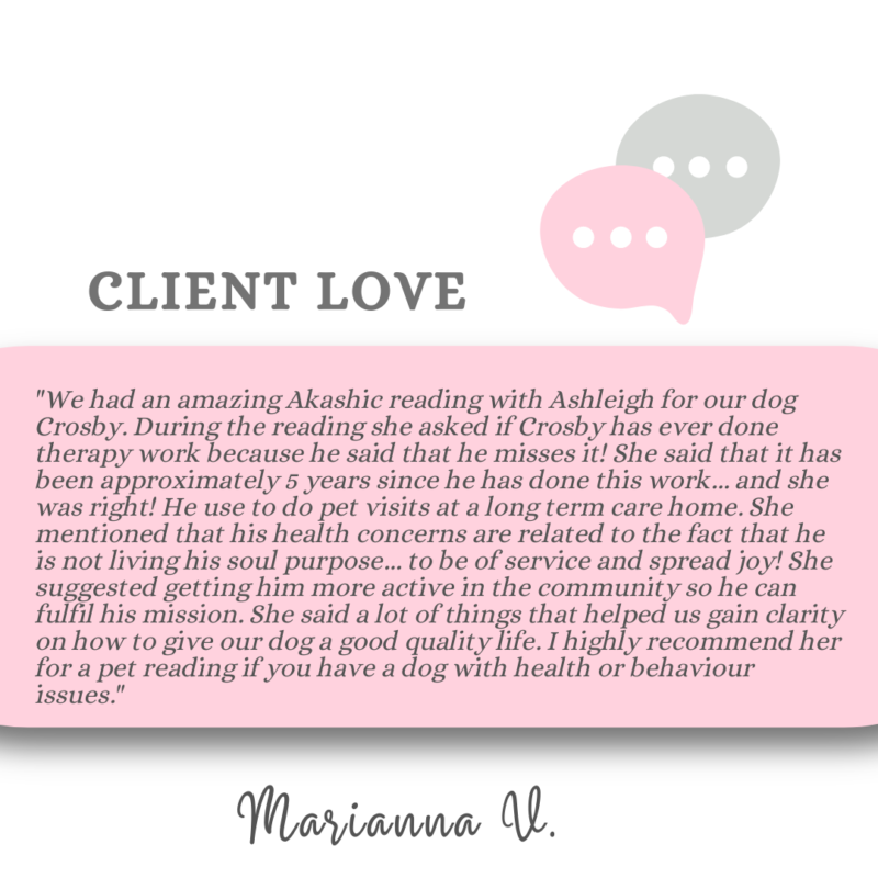 Akashic Reading for Pets and Animals - testimonial by Marianna V