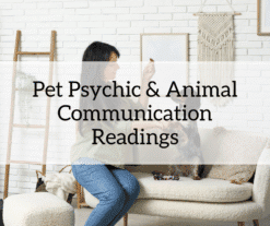 Pet psychic readings, animal communication readings, pet medium readings
