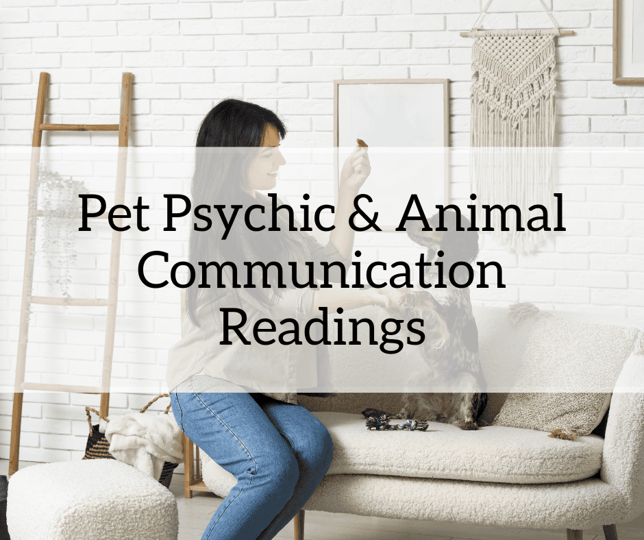 Pet psychic readings, animal communication readings, pet medium readings